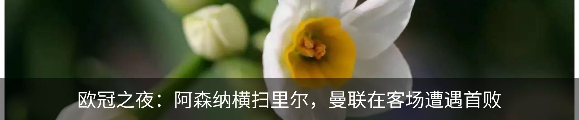 资讯动态
